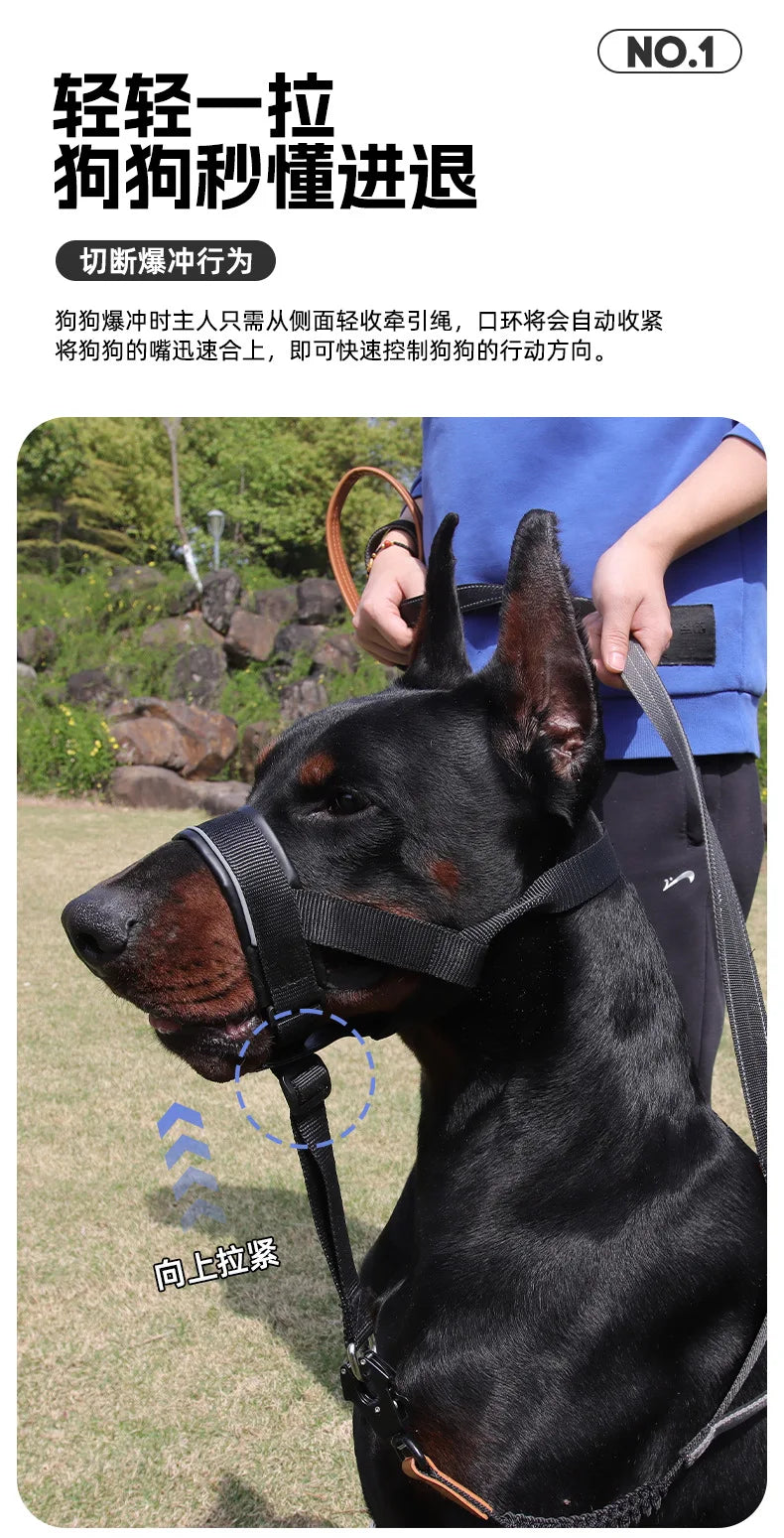 the MUZZLE STRAP - Dog Muzzle for Large/Medium Dogs – Anti-Bite, Anti-Bark Adjustable Pet Mouth Mask with Leash Loop, Training Walking Nylon Muzzle