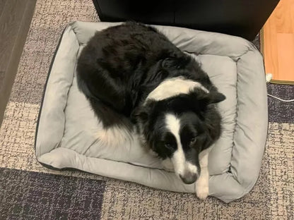 Non-slip Pet Bone Bed for Small Medium Large Dogs Winter Warm Puppy Big Dog Cushion Bulldog Cat mascotas Beds legowisko dla psa