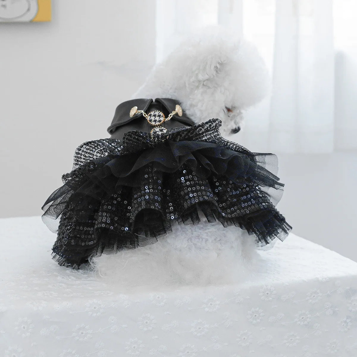 Luxury Brand Dog Clothes Puppy Princess Black Leather Waterproof  Autumn Winter Pet Outfit Girl Boy Coat XS XL Elegant Costumes