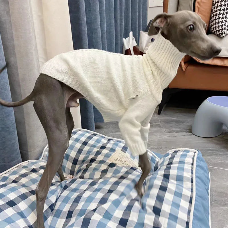 Italian Greyhound Sweater Whippet Turtleneck White Knitted Sweater Warm Pet Clothing