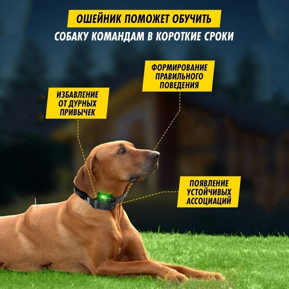 the POWERPULSE E-TRAINER - [New Edition] Dog Shock Collar with Remote - Dog Training Collar for Large/Medium/Small Dogs, Waterproof Rechargeable E-Collar