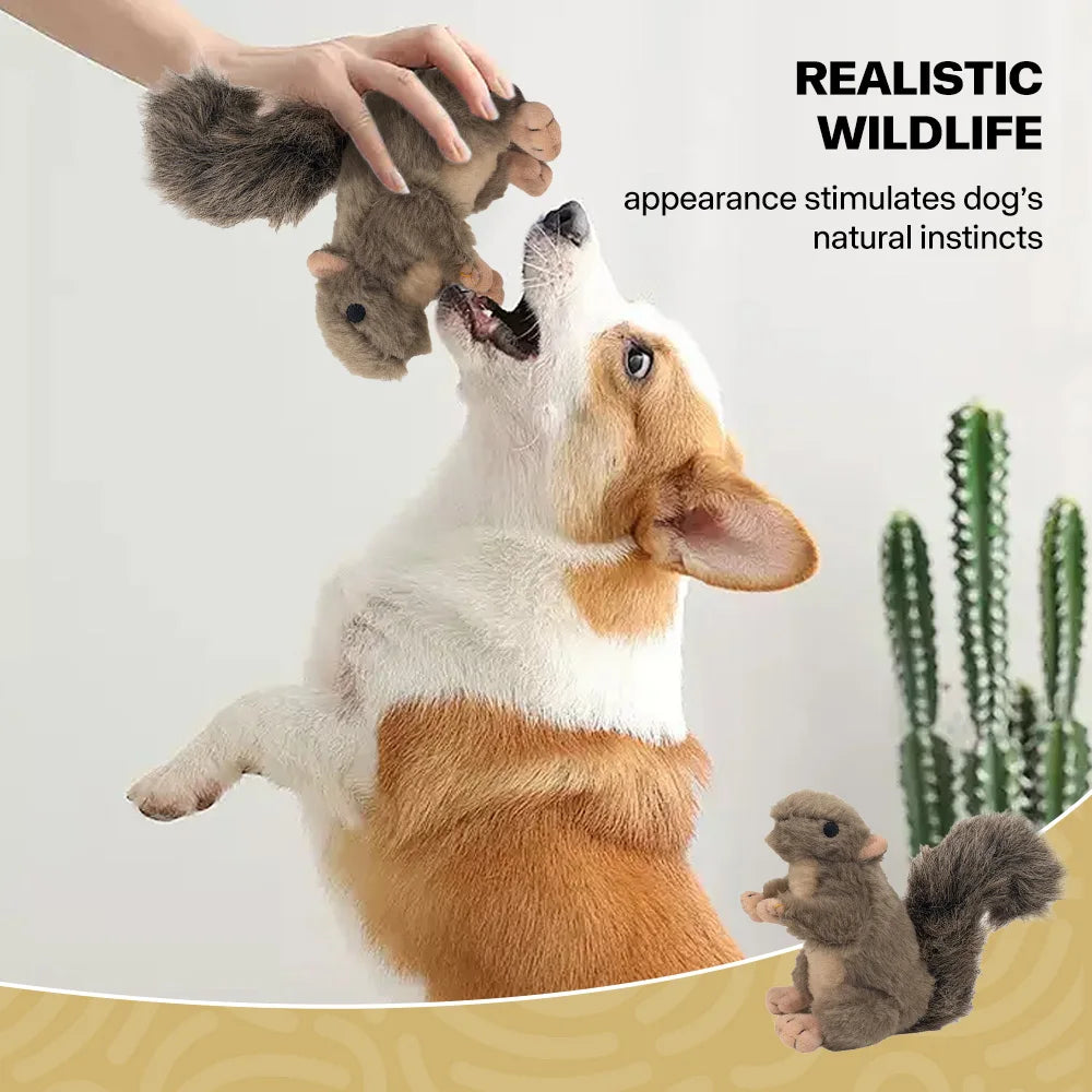 All For Paws Dog Faux Fur Squirrel Toys For Dogs Animal Realistic Squeaker Wildlife Fleece No-Toxic Dolls Pet Accessories