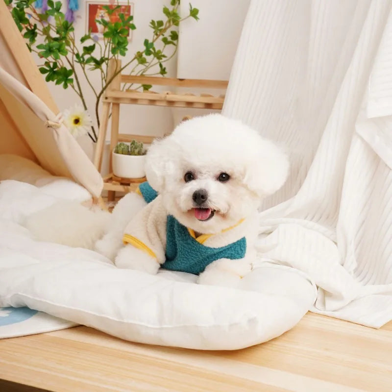 Pet Dog Four Legged Pants Dog Color Contrasting Jumpsuit Autumn and Winter Thick Lamb Fleece Four Leg Puppy Coat Bear Small Dog