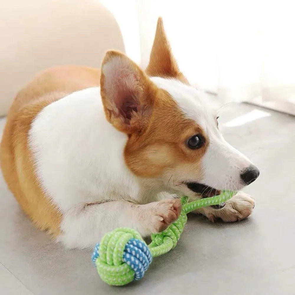 Pet Dog Toys Dog Chew Tug of War Durable Interactive Cotton Rope Toy Suitable for Medium Large Dogs Cleaning Teeth Pet Supplies
