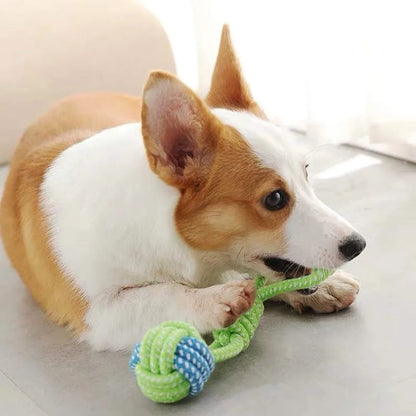 Pet Dog Toys Dog Chew Tug of War Durable Interactive Cotton Rope Toy Suitable for Medium Large Dogs Cleaning Teeth Pet Supplies