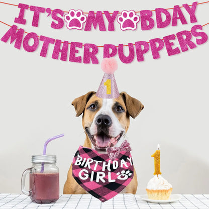 Dog Birthday Party Kit - Bandana, Hat, Bow Tie & Bday Banner for Small Dogs, Puppy Decor with It’s My Bday Signs Boy/Girl