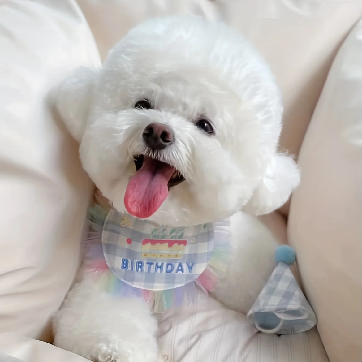 Lovely Pet Dog Birthday Bib, Letter Graphic Dog Saliva Towel, PuppyScarf For Birthday Party Accessories (Set) 2 birthday hats+bi