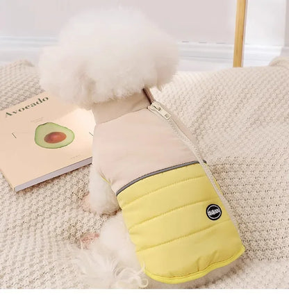 The Dog's Clothes Are A Small Cotton Vest with A Zipper, Similar To A Yorkshire Terrier or Dachshund Pet Clothing.