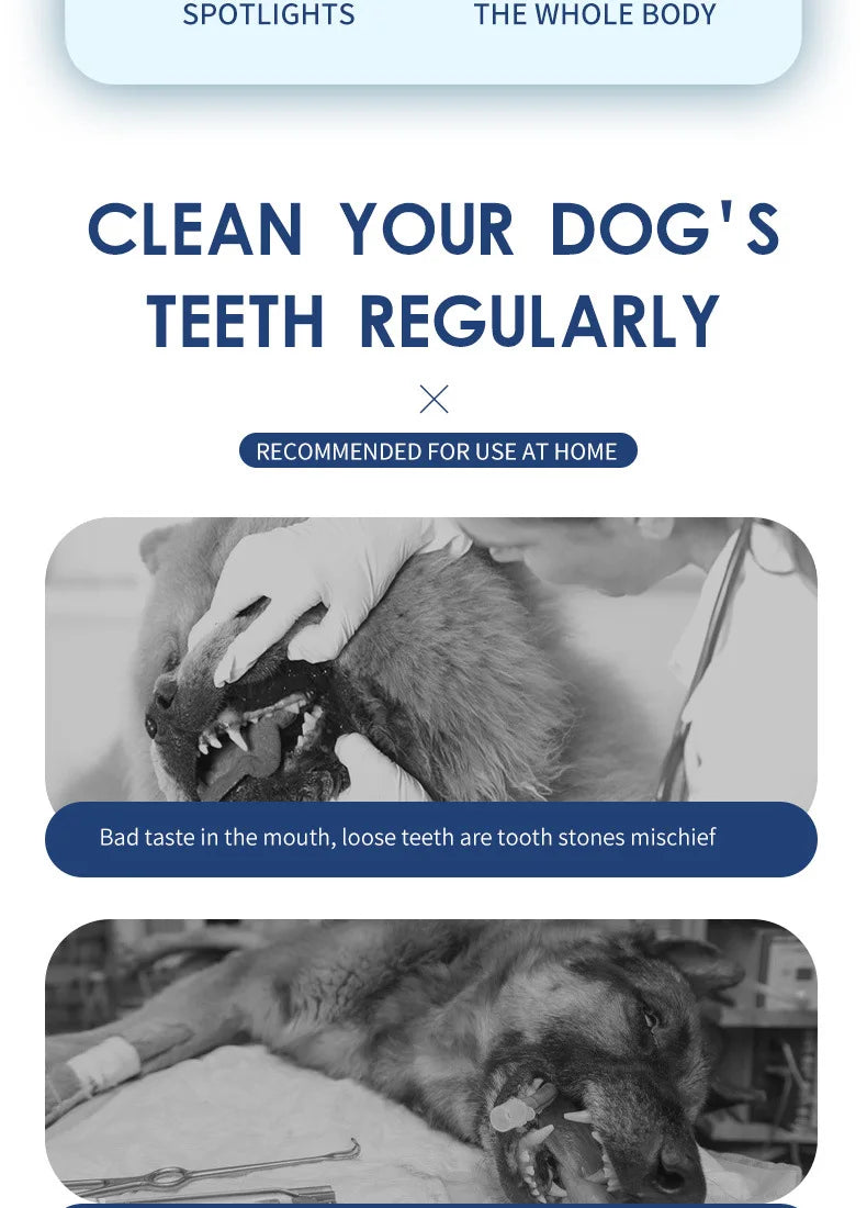 Ultrasonic Portable Electric Dog Toothbrush Professional Plaque Calculus Removal Teeth Whitening for Pet Dental Care