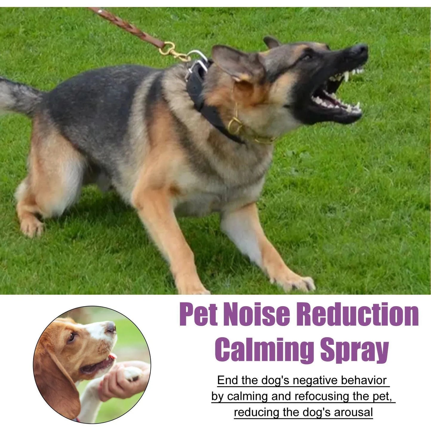 the CALMING SPRAY - 50ml Pet Relaxants, Dog Noise Reduction, Calming Spray for Barking Restless, End the Dog's Negative Behavior, Pet Health Supplies