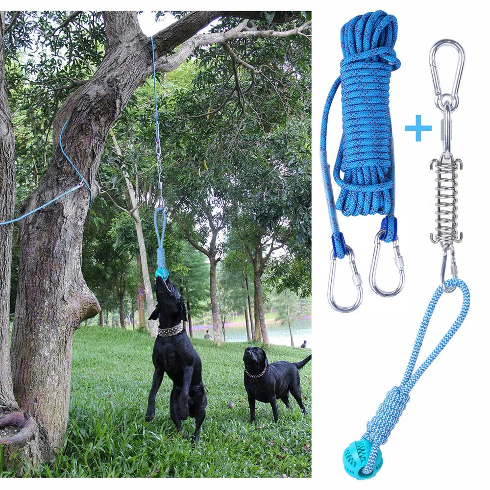Spring Pole Dogs Toys Large Medium Dog Play Outdoor Hanging Exercise Rope Spring Pull Tug Muscle Builder Exercise Tools For Dogs