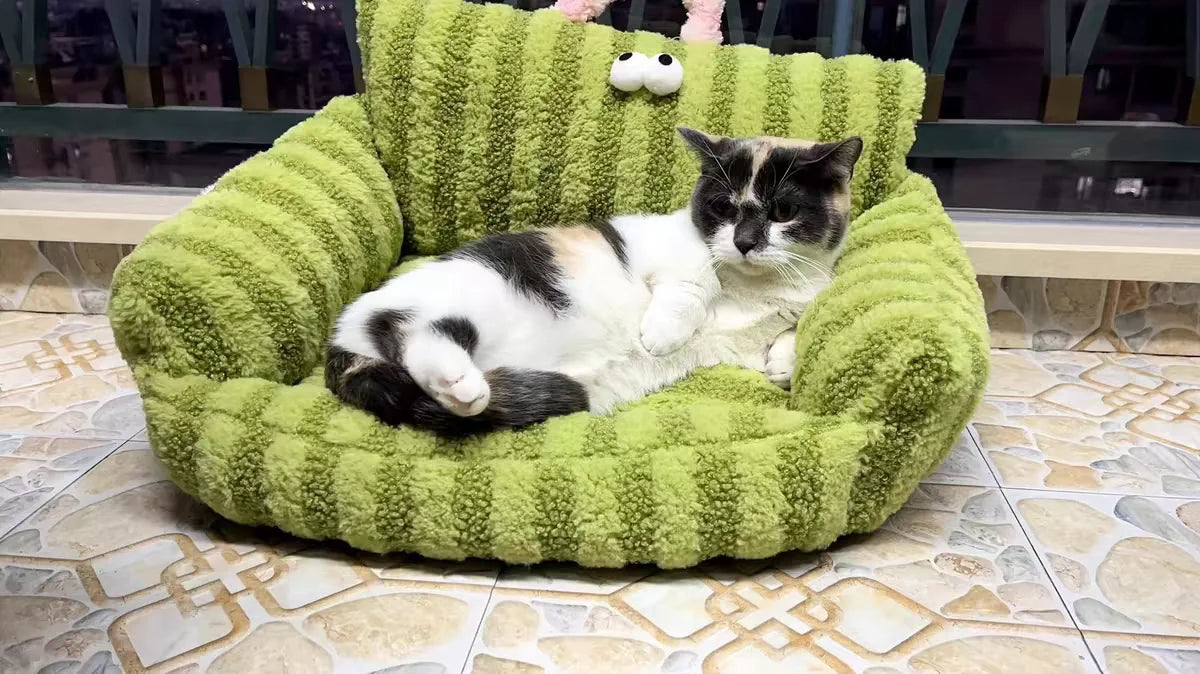 Puppy special sofa kennel winter warm pet Internet celebrity cat nest small dog dog sleeping mat cushion winter bed