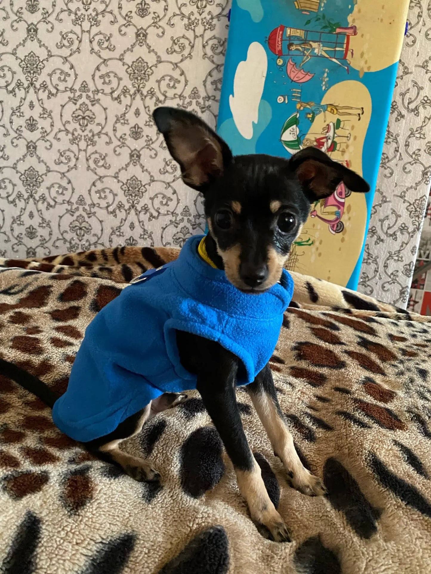 Dog Fleece Vest Chihuahua Winter Clothing For Small Dogs Warm Dachshund Dog Coat For Medium Bulldog Pitbull Maltese Dogs Jumpers