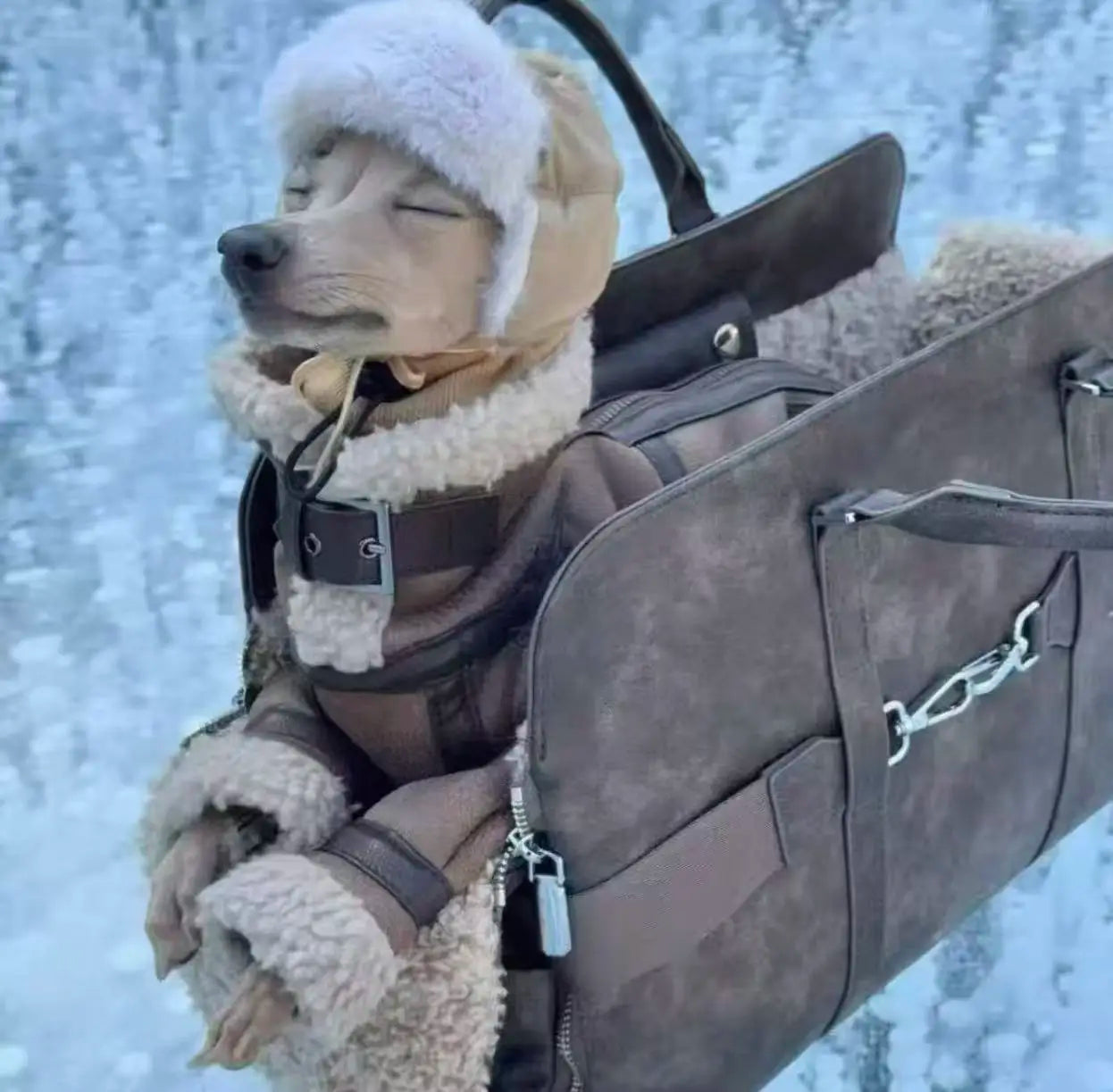 Winter Brown Jacket for Dogs Elegant Adjustable Thick Cotton Coat For Italy Greyhound Windproof Warm Jacket for Whippet