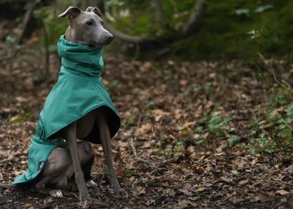 the DOBBIN DOG - Spring and Autumn Outing Breathable and Comfortable Dobbin Dog Clothes, Casual Warm Pet Raincoat Leisure Dog Cloak Raincoat