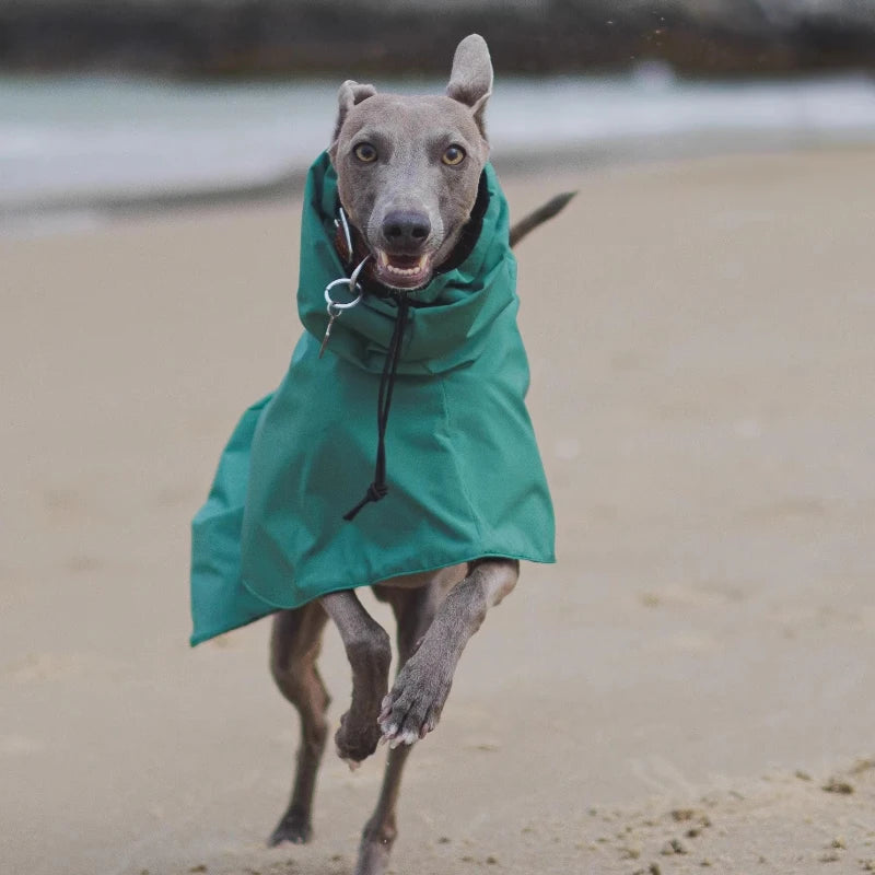 the DOBBIN DOG - Spring and Autumn Outing Breathable and Comfortable Dobbin Dog Clothes, Casual Warm Pet Raincoat Leisure Dog Cloak Raincoat