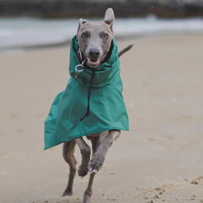 the DOBBIN DOG - Spring and Autumn Outing Breathable and Comfortable Dobbin Dog Clothes, Casual Warm Pet Raincoat Leisure Dog Cloak Raincoat