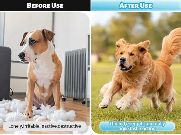 Flirt Pole for Dogs Interactive Dog Toys Durable Heavy Duty Dog Flirt Pole Suitable for Small and Medium Dogs Great Exercise