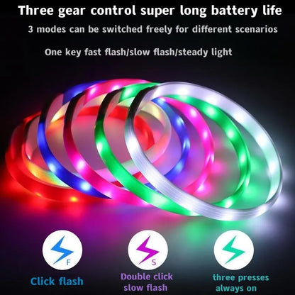 the NIGHTBEAM GLOW COLLAR - New Led Luminous Dog Collar, PVC Waterproof for Large/Medium/Small Dogs, Collar USB Light Night Safety, Pet Glowing Accessories