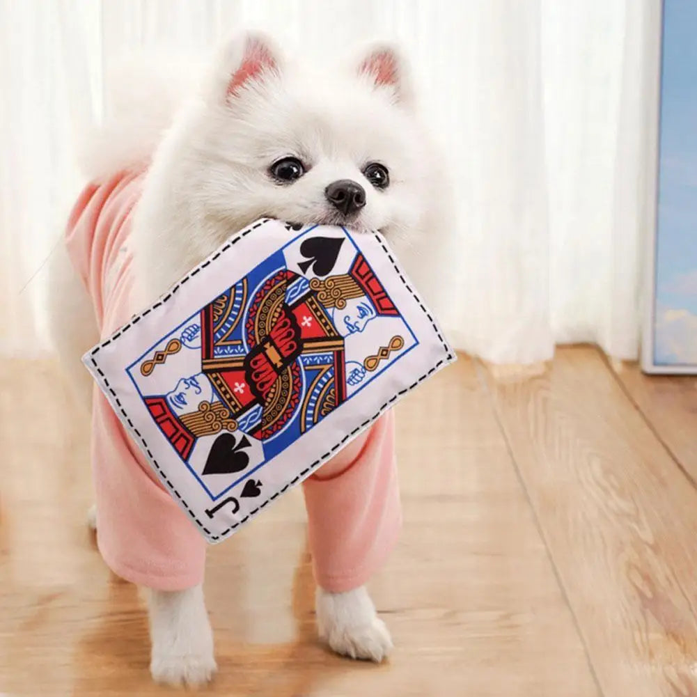 Newspaper Dog Toys Simulation Newspaper Paper Playing Cards Rubbing Sound Small Medium Chew Dog Toys Bite Resistant Tissue