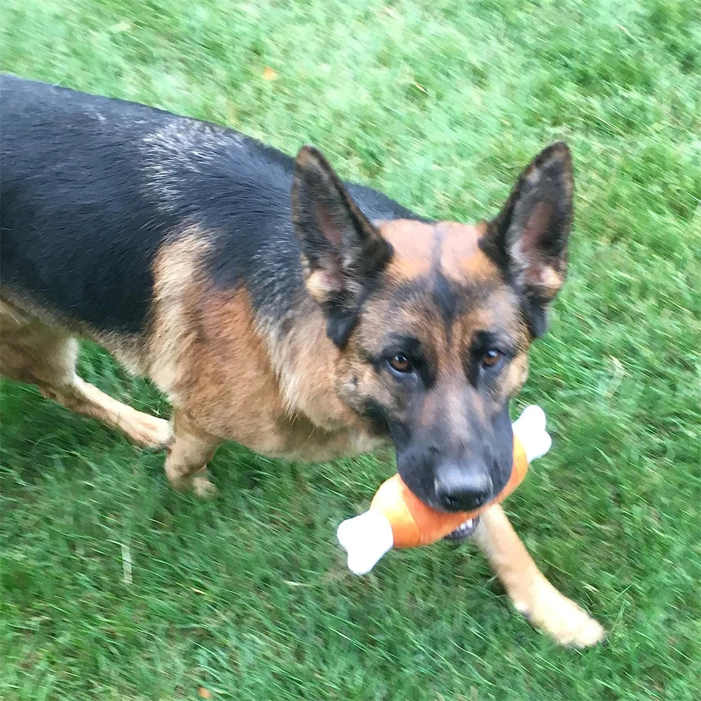 the GO BANANAS CHEW TOYS - 10 PACK SET - Pet Dog Toys, Plush Chew Toy, Soft Banana Bone Vegetable Fruit Squeaky Puppy Training Interactive Toy, Bite-Resistant, Pet Supplies