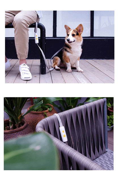 the SECUREWALK ANTI-LOST LEASH - New Anti-Lost Dog Leash, Explosion-Proof Dog Leash, Nylon Reflective Small/Medium Dog Leash for Walking Dogs, Outdoor Supplies