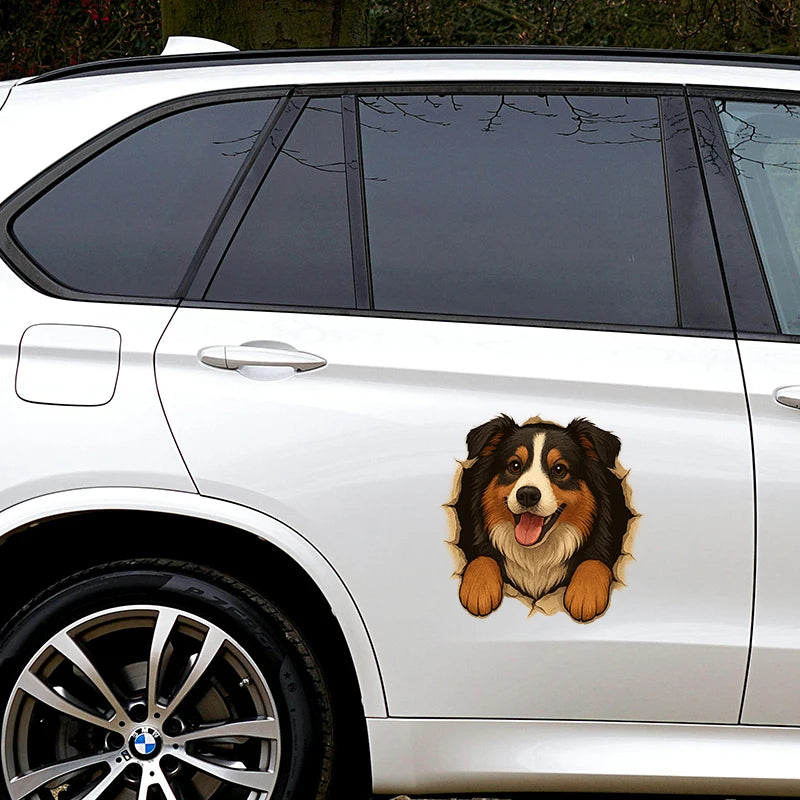 Australian Shepherd Car Sticker – Funny Peeking Dog Vinyl Decal, Waterproof Pet Lover Decoration for Vehicles,window,wall