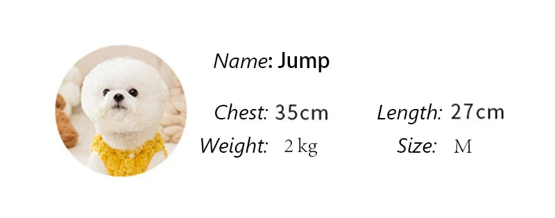 Winter Cat Dog Clothes with Buckle Sweet Bear Print Pet Plush Sweater for Small Dogs Pomeranian Chihuahua Puppy Button Jacket