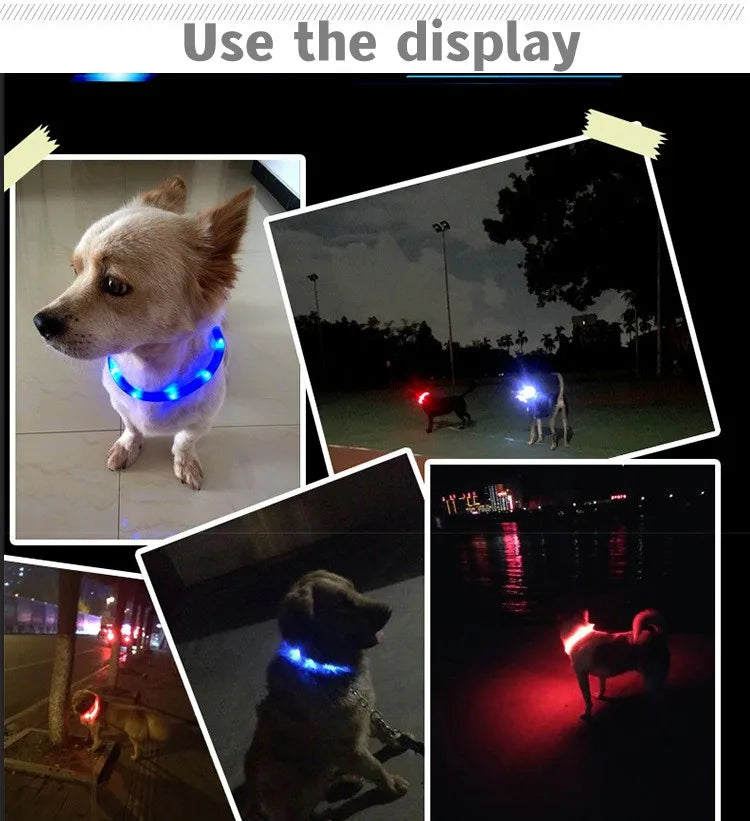 the NIGHTBEAM GLOW COLLAR - New Led Luminous Dog Collar, PVC Waterproof for Large/Medium/Small Dogs, Collar USB Light Night Safety, Pet Glowing Accessories