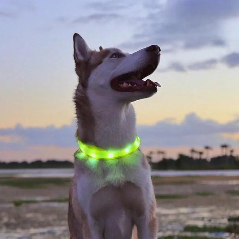 the NIGHTBEAM GLOW COLLAR - New Led Luminous Dog Collar, PVC Waterproof for Large/Medium/Small Dogs, Collar USB Light Night Safety, Pet Glowing Accessories