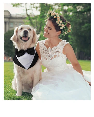 Hawaii Dog Shirt Colorful Flower Printed T-Shirt Breathable Cool Shirt Summer Beach Style Dog Clothes Medium and Large Dog Boys