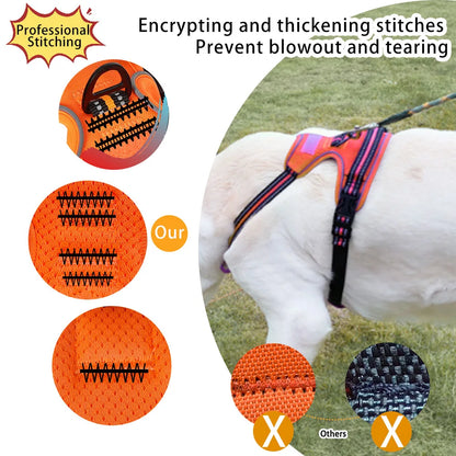 the REFLECTAGUARD PADDED HARNESS - Dog Harness, Pet Harness with Pull - 1 Leash Clip, Adjustable Padded Dog Vest, Reflective Non-Choking Pet Vest with Free Nameplate