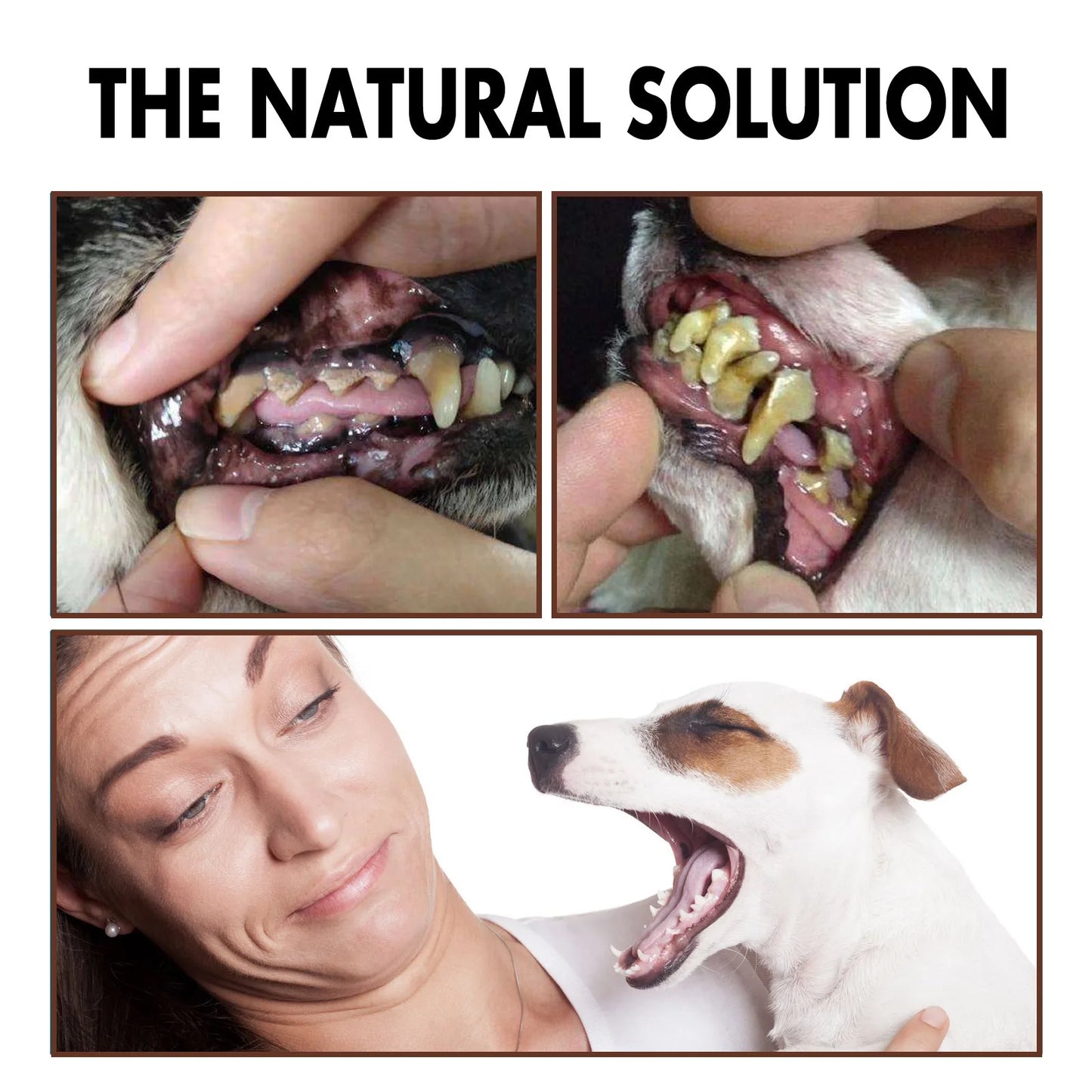 the NATURAL SOLUTION - Pet Tooth Cleaning Spray, Dogs Remove Bad Breath Freshener, Dogs/Cats Oral Cleaning Dental Care Deodorization Spray, Pet Supplies 30ml