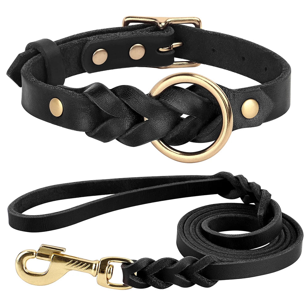 the IRONPAW PREMIUM LEATHER SET - Genuine Leather Dog Collar/Leash Set, Braided Durable Leather the IRONPAW PREMIUM LEATHER SET - Dog Collars for Medium/Large Dogs, German Shepherd, Pet Accessories
