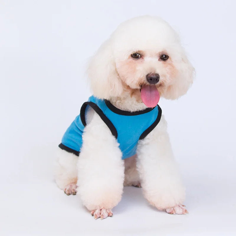 the TINYROYAL PET SHIRT - Princess Crown Dog Vest T-Shirt, Summer Cotton Pet Clothes for Small Dogs, Chihuahua/Poodle Shirts, Puppy Clothing, Prince